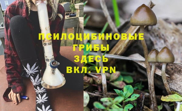 MDMA Карталы