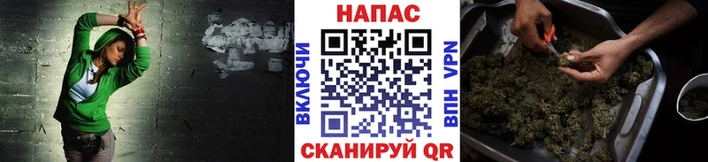 Бошки Шишки сатива  Купить закладки  Светлый 